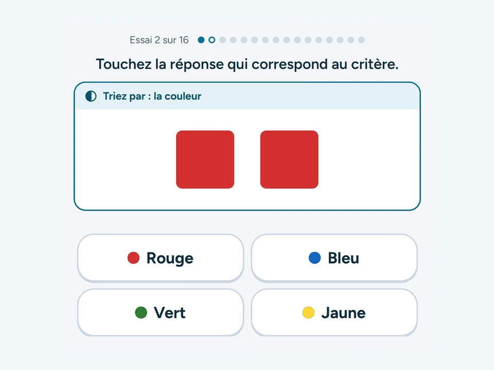 Capture de l’exercice Tri multicritères